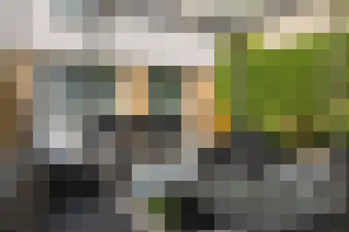 Van Hessen-Kasselstraat 84 Tilburg thumbnail 35