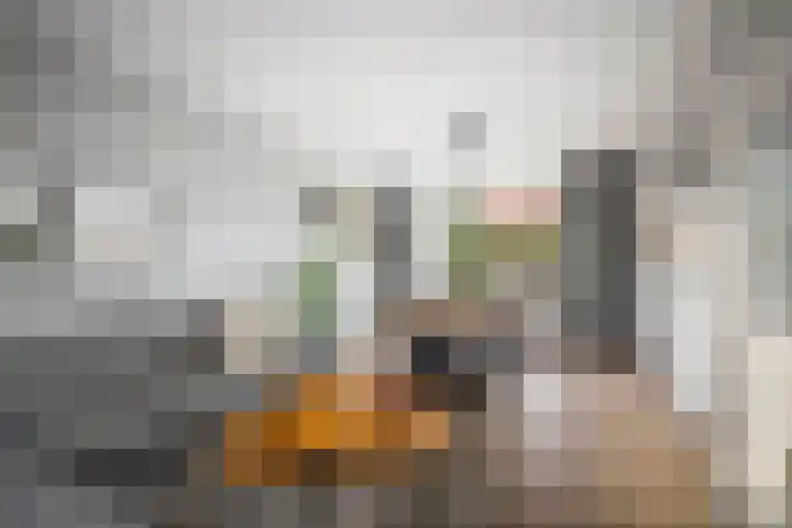 Van Hetenstraat 84 Deventer thumbnail 7