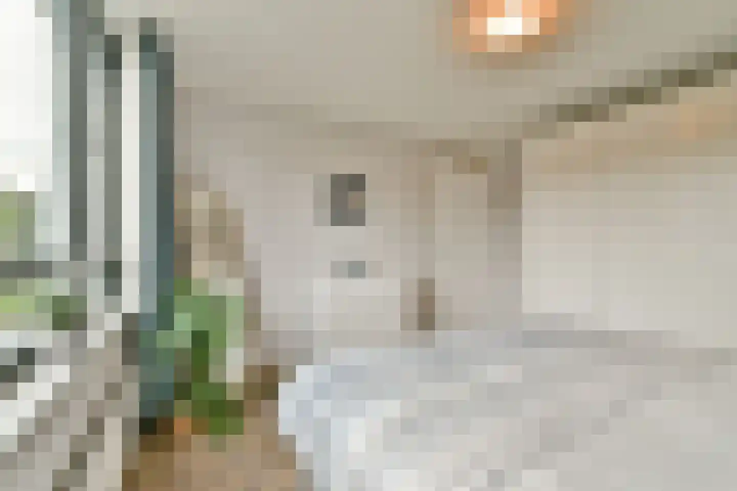 Van Heukelomstraat 212 Rotterdam thumbnail 14