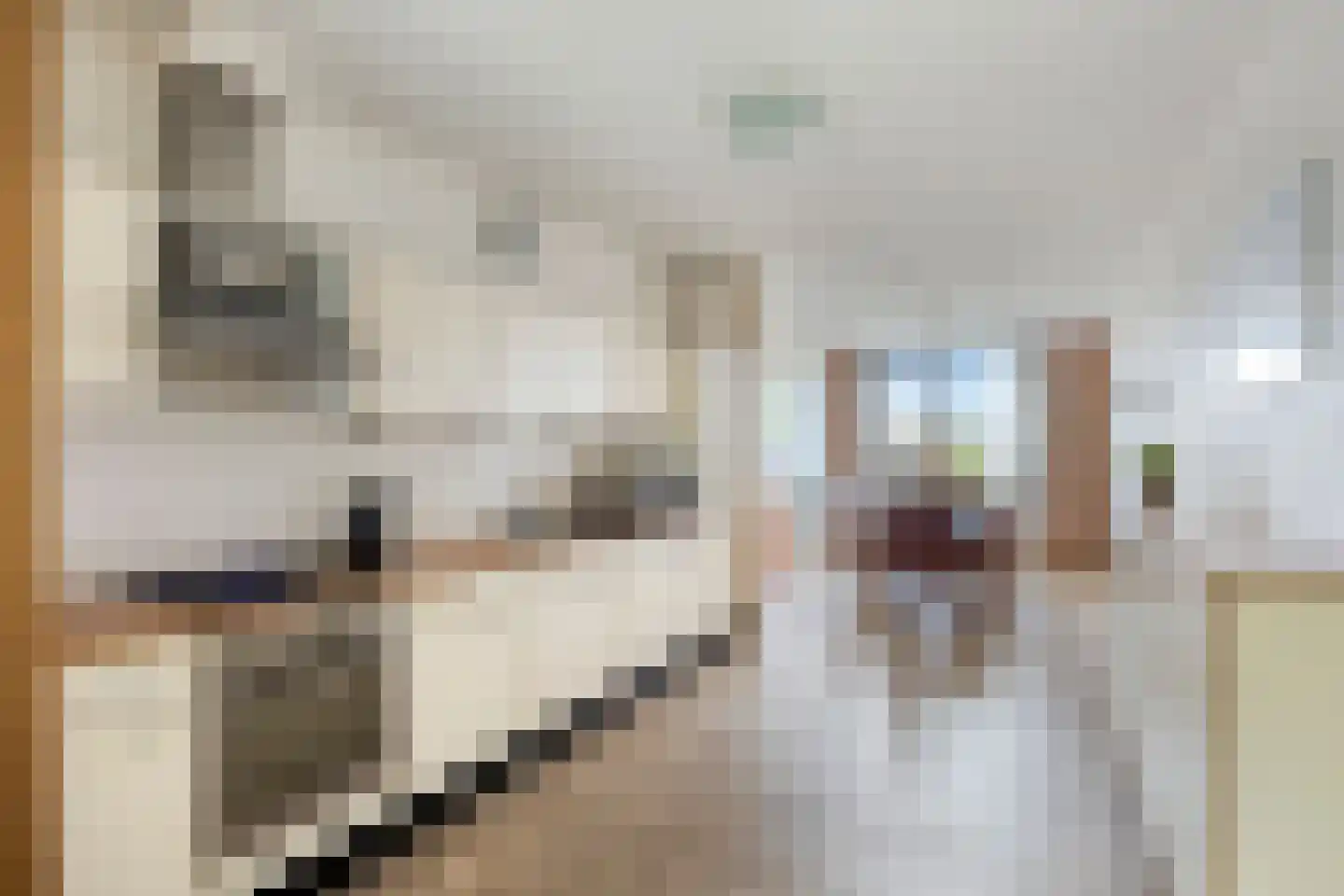 Van Heukelomstraat 248 Rotterdam thumbnail 14
