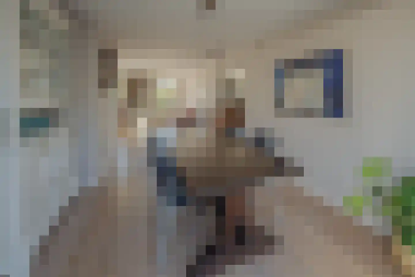van Heukelomstraat 7 Eindhoven thumbnail 12