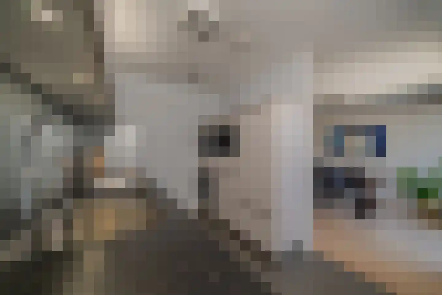 van Heukelomstraat 7 Eindhoven thumbnail 14