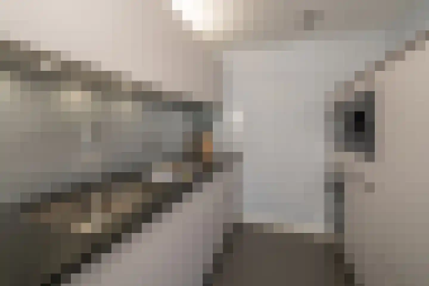 van Heukelomstraat 7 Eindhoven thumbnail 15