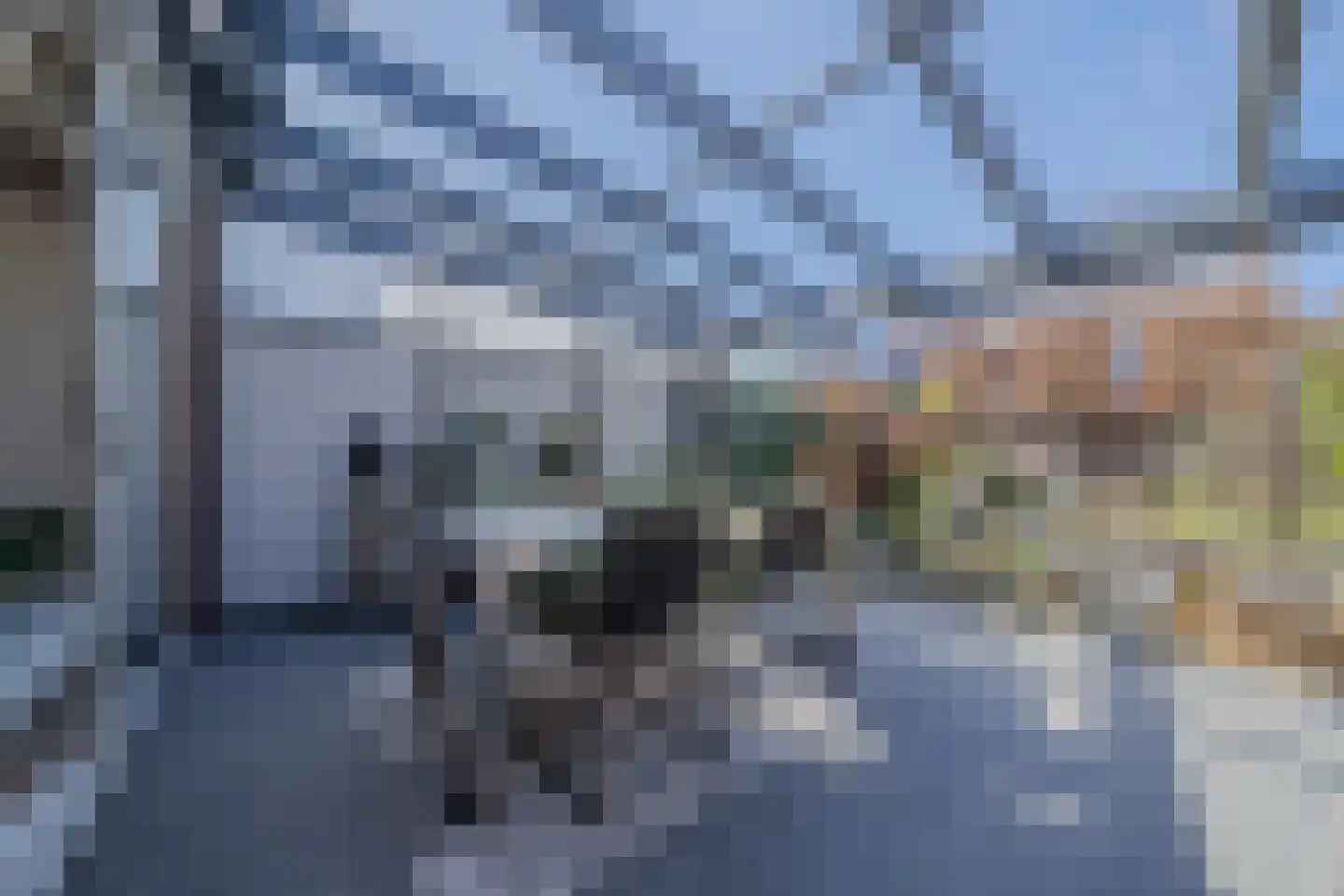 van Heukelomstraat 7 Eindhoven thumbnail 17