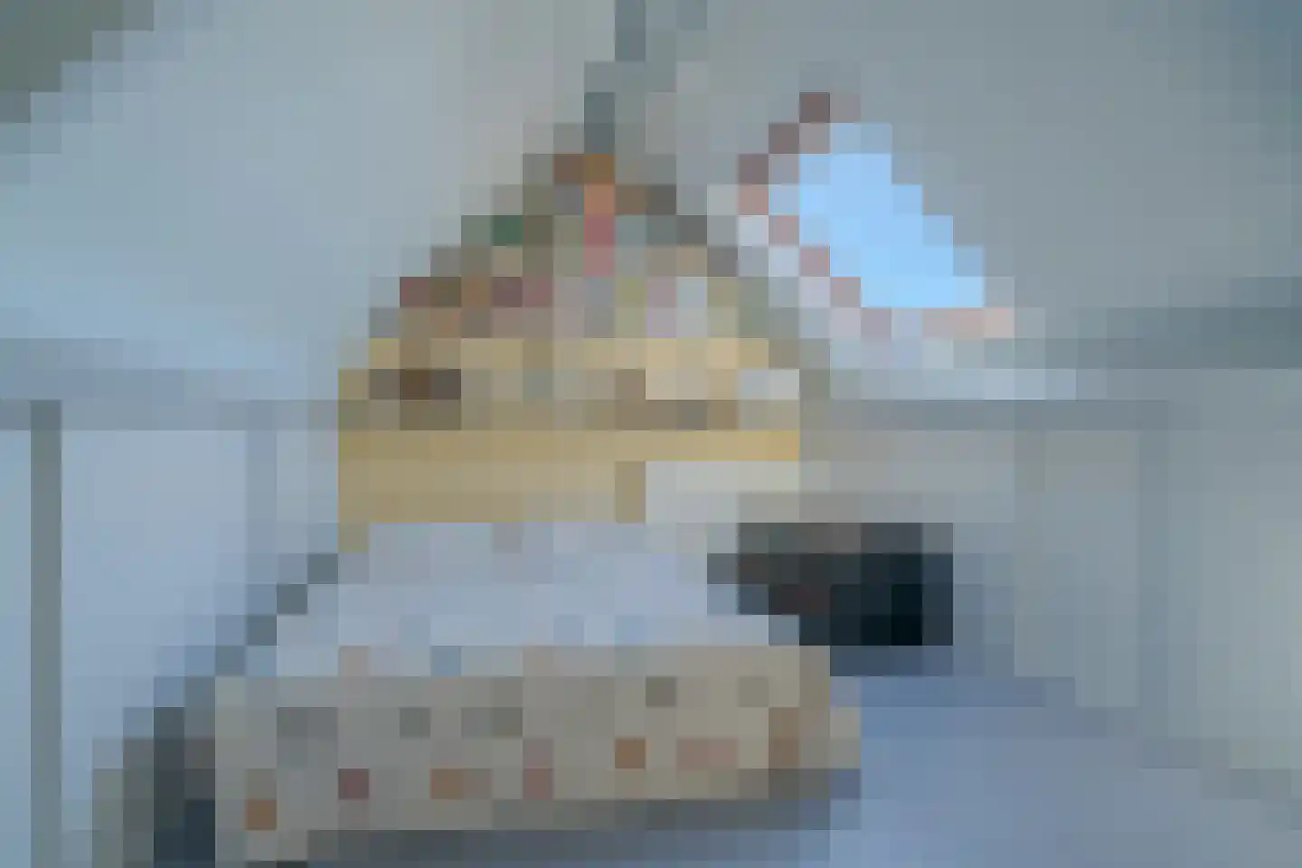 van Heukelomstraat 7 Eindhoven thumbnail 36