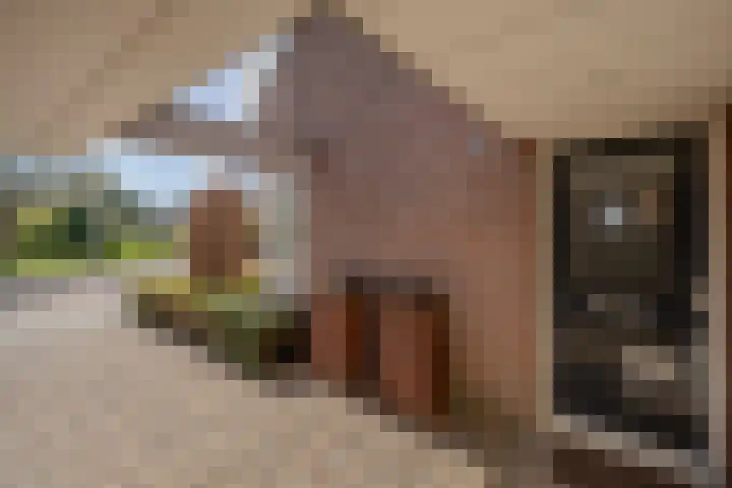 van Heukelomstraat 7 Eindhoven thumbnail 5