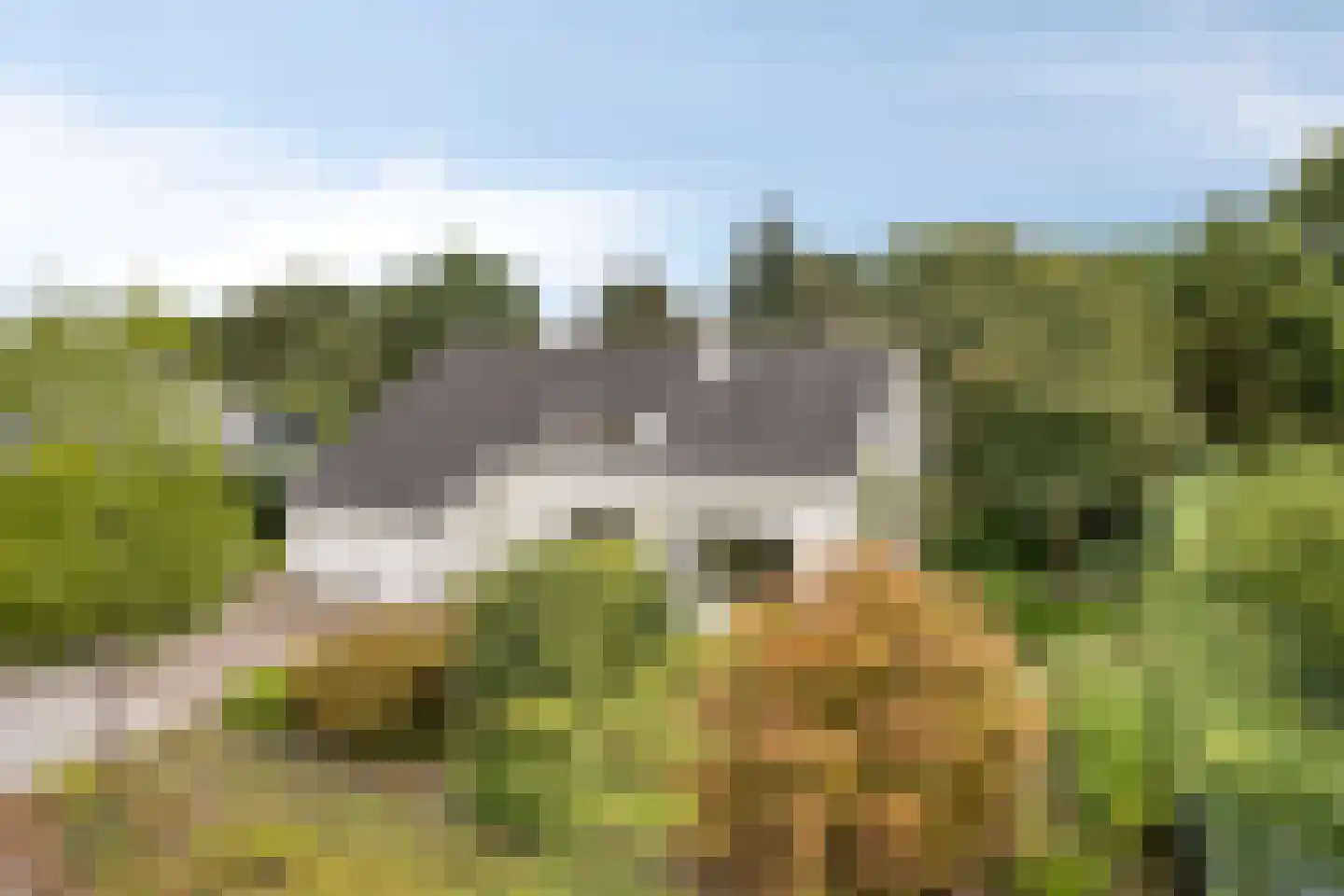 Van Heukelomstraat 8 Weert thumbnail 60