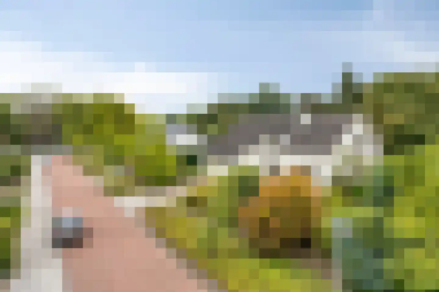 Van Heukelomstraat 8 Weert thumbnail 61