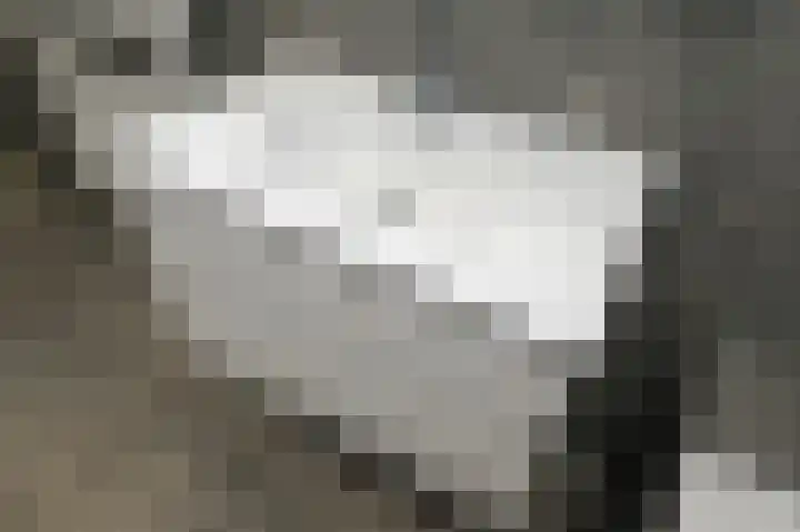 van Heurnstraat 1 Voorburg thumbnail 23