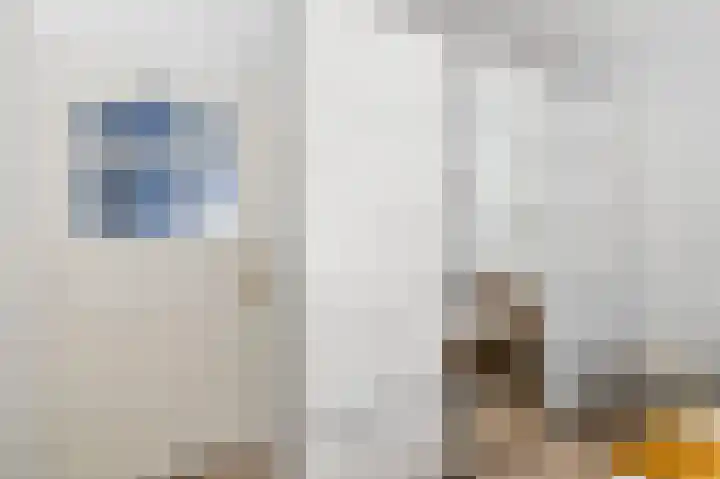 van Heurnstraat 11 Voorburg thumbnail 22