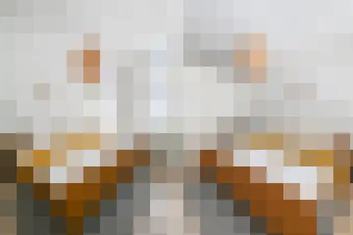 van Heurnstraat 11 Voorburg thumbnail 23