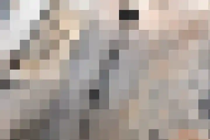van Heurnstraat 11 Voorburg thumbnail 30