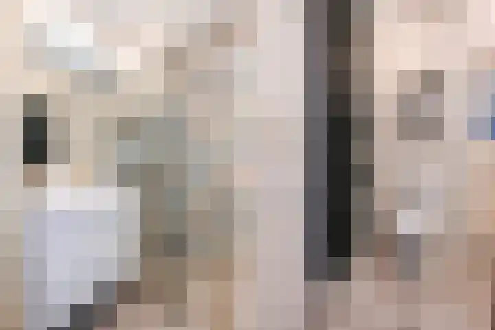 van Heurnstraat 11 Voorburg thumbnail 33