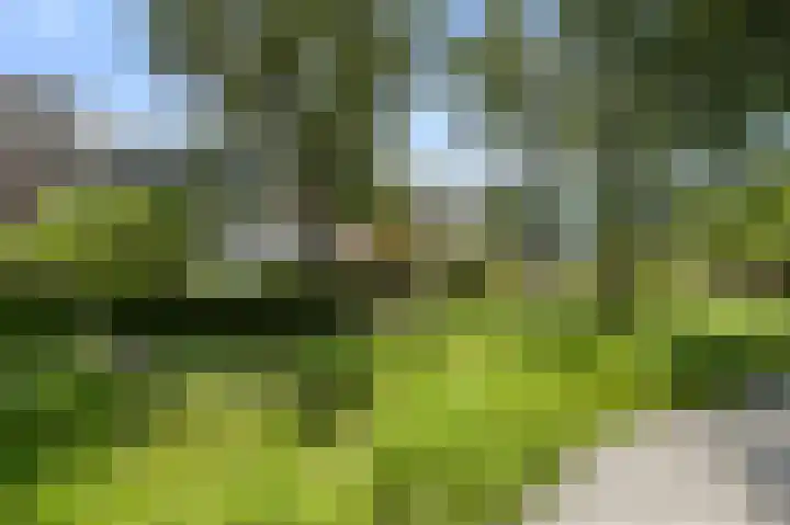 van Heurnstraat 11 Voorburg thumbnail 35
