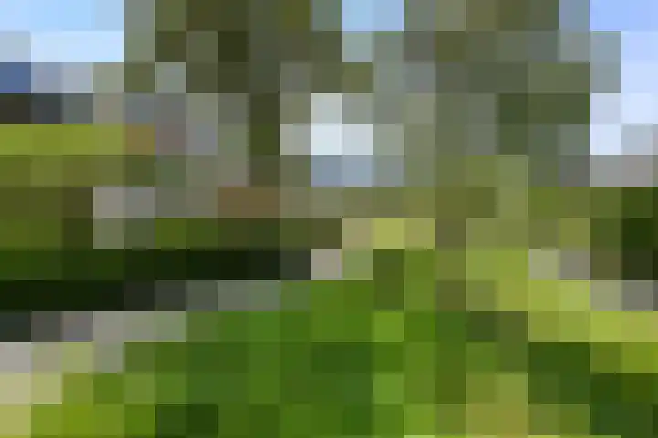 van Heurnstraat 11 Voorburg thumbnail 37