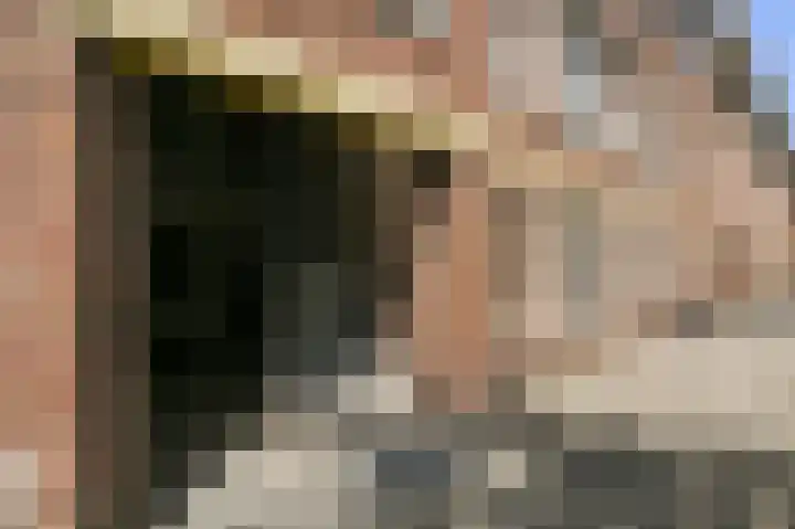 van Heurnstraat 11 Voorburg thumbnail 38