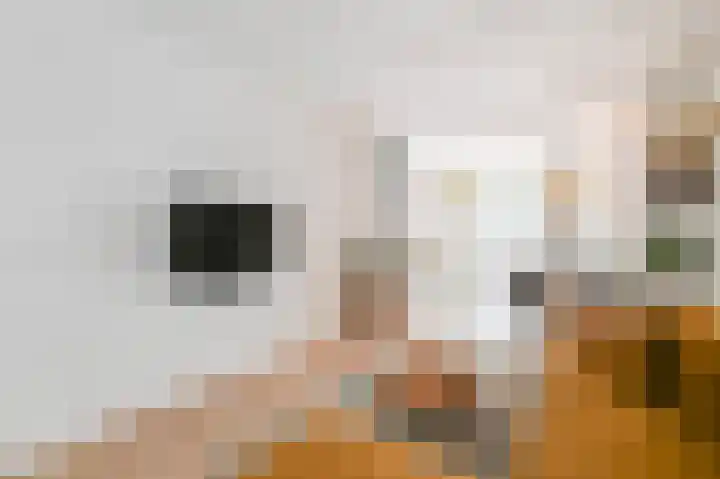 van Heurnstraat 11 Voorburg thumbnail 7