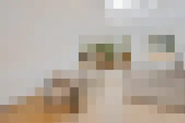 van Heurnstraat 202 Voorburg thumbnail 10