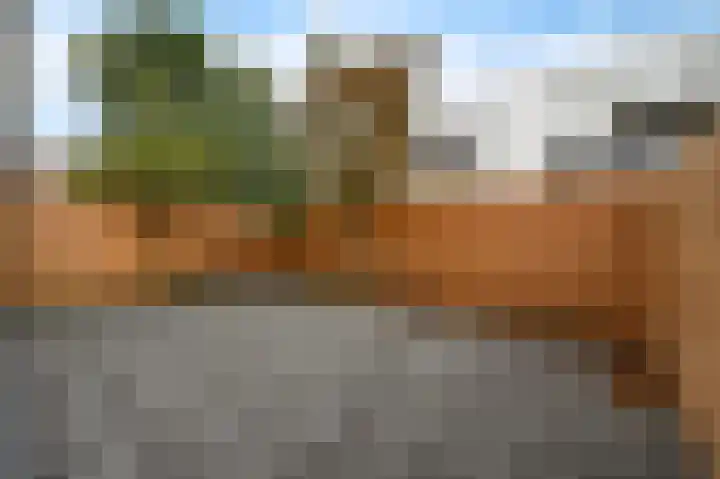 van Heurnstraat 202 Voorburg thumbnail 18