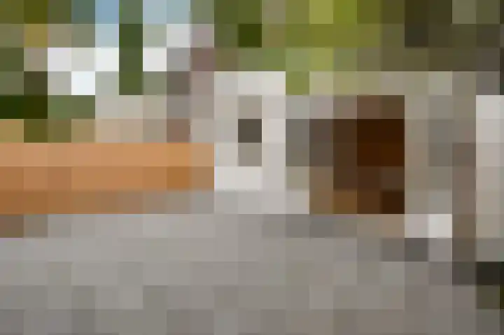 van Heurnstraat 202 Voorburg thumbnail 19