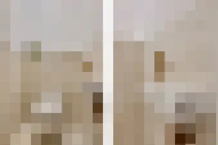 van Heurnstraat 202 Voorburg thumbnail 24