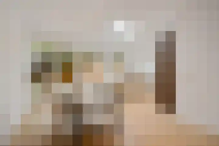 van Heurnstraat 202 Voorburg thumbnail 9