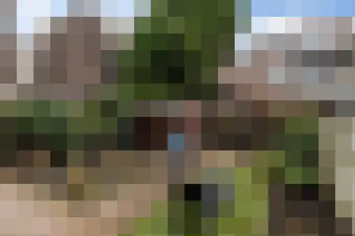 van Heurnstraat 226 Voorburg thumbnail 20