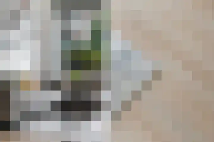 van Heurnstraat 226 Voorburg thumbnail 5