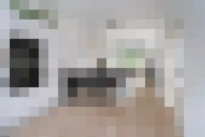 van Heurnstraat 226 Voorburg thumbnail 9