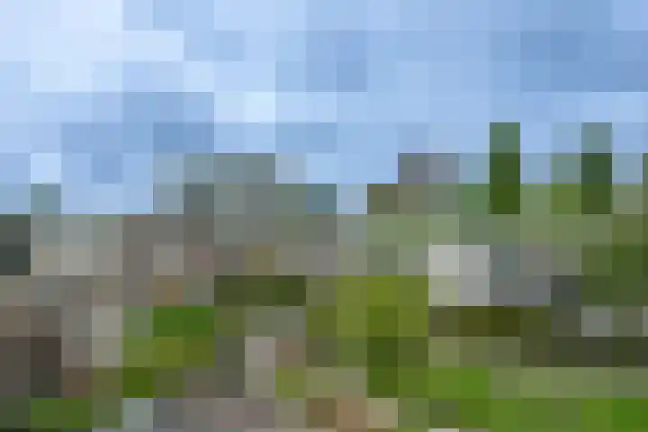 van Heurnstraat 3 C Voorburg thumbnail 25