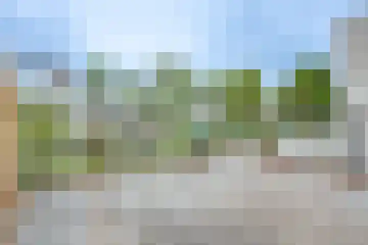 van Heurnstraat 3 C Voorburg thumbnail 27