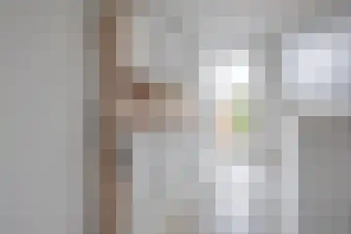 van Heurnstraat 3 C Voorburg thumbnail 5