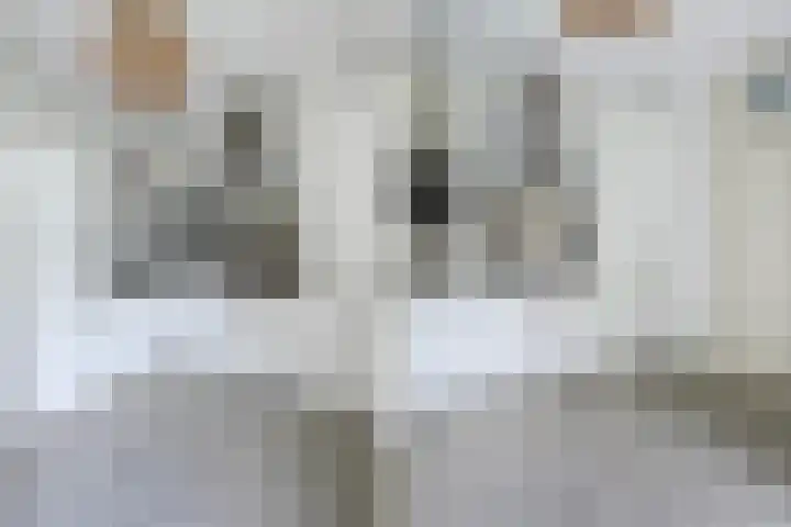 van Heurnstraat 33 Voorburg thumbnail 20