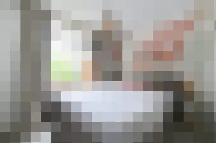 van Heurnstraat 33 Voorburg thumbnail 21