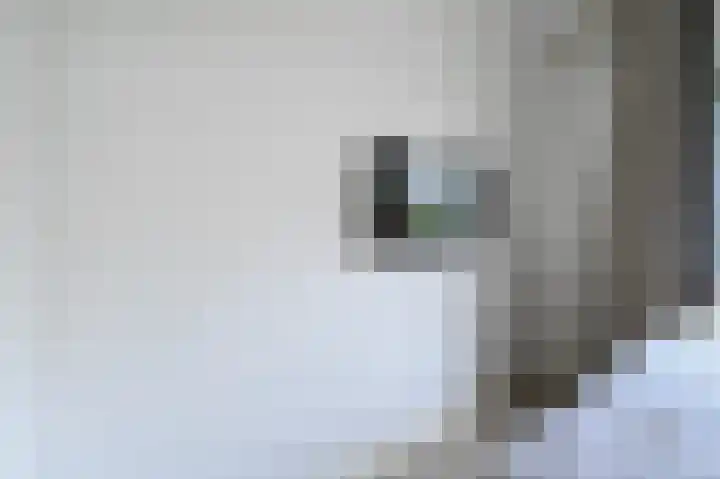 van Heurnstraat 33 Voorburg thumbnail 22