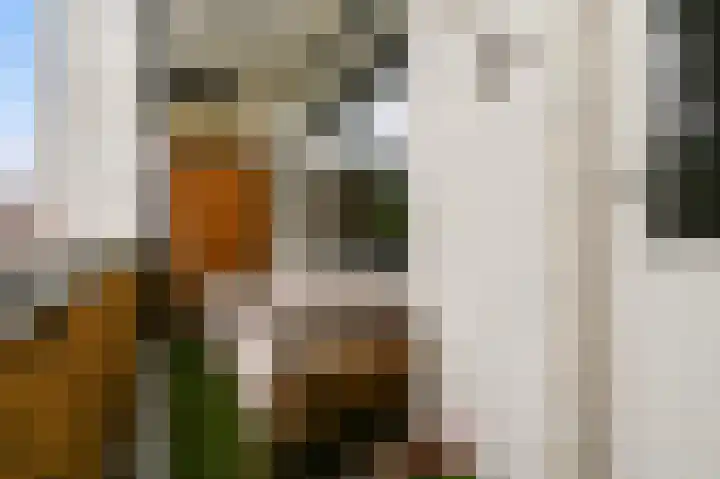 van Heurnstraat 33 Voorburg thumbnail 26