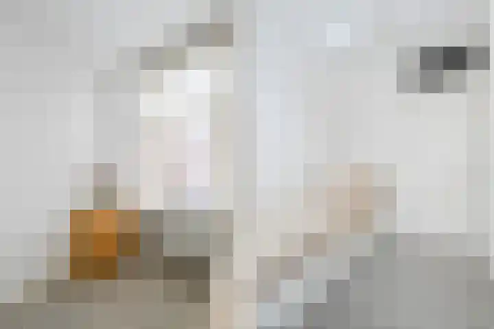 van Heurnstraat 33 Voorburg thumbnail 28
