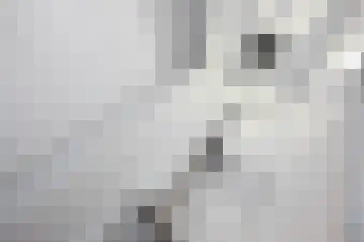 van Heurnstraat 33 Voorburg thumbnail 32