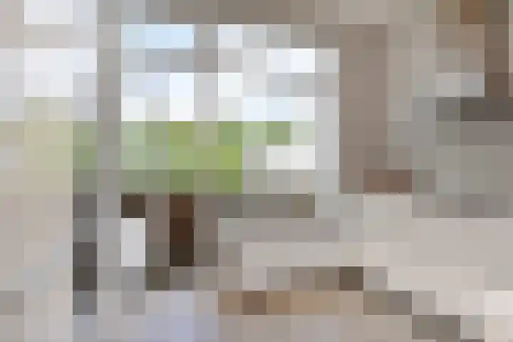 van Heurnstraat 41 Voorburg thumbnail 18