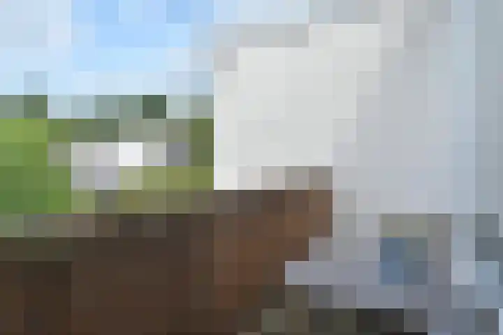 van Heurnstraat 41 Voorburg thumbnail 21