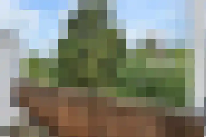 van Heurnstraat 41 Voorburg thumbnail 35