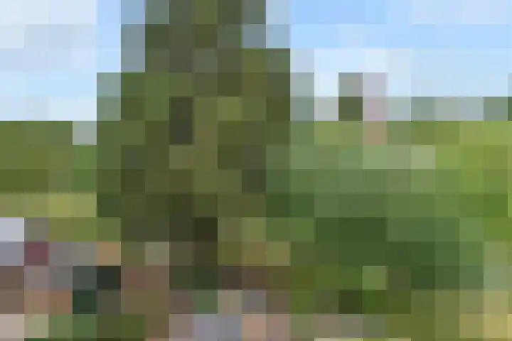 van Heurnstraat 41 Voorburg thumbnail 36