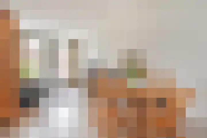van Heurnstraat 41 Voorburg thumbnail 9