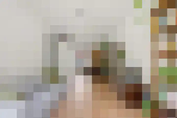 van Heurnstraat 49 Voorburg thumbnail 12