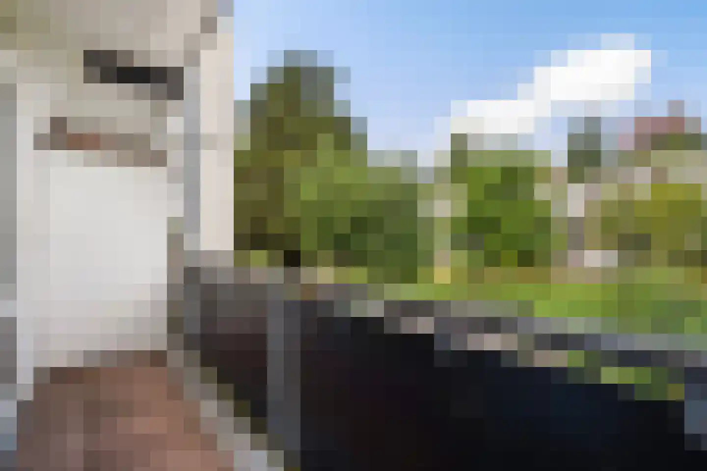 van Heurnstraat 51 Voorburg thumbnail 4