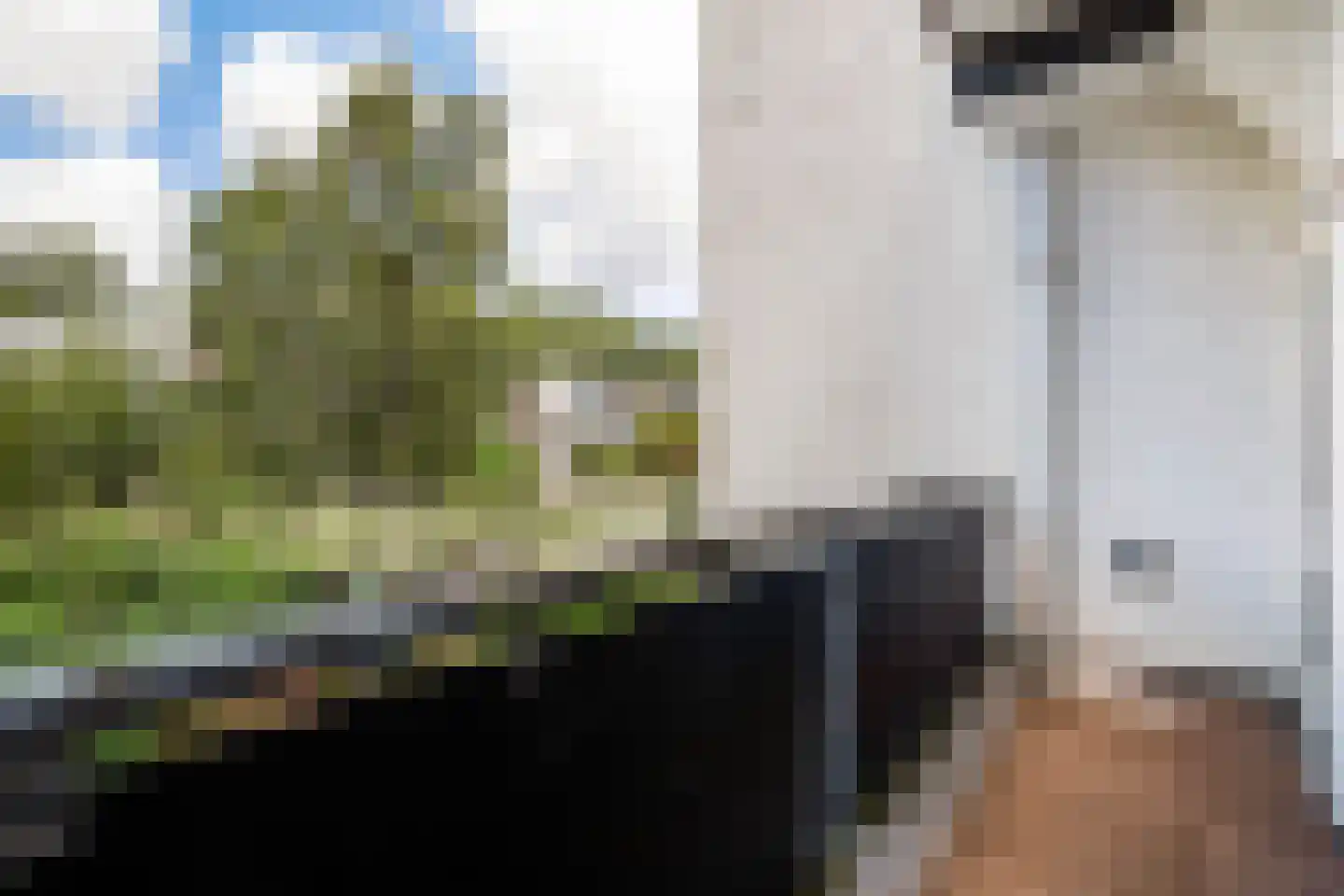 van Heurnstraat 51 Voorburg thumbnail 8