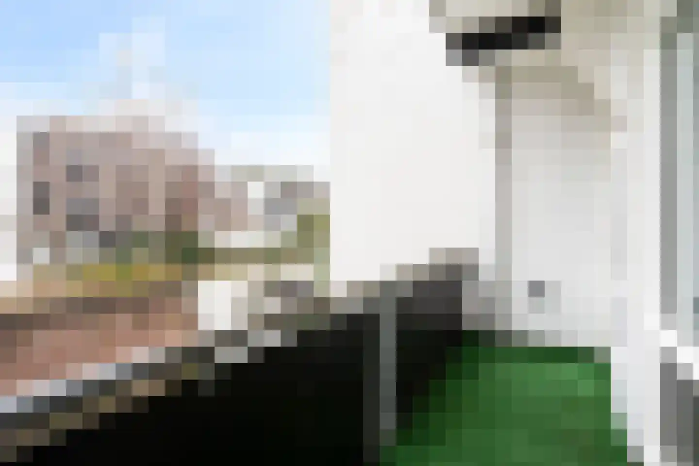 van Heurnstraat 51 Voorburg thumbnail 9