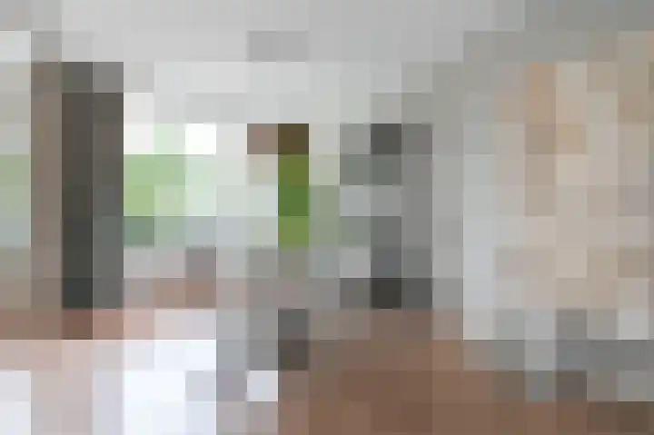 van Heurnstraat 7 Voorburg thumbnail 13