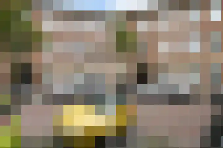 van Heurnstraat 7 Voorburg thumbnail 4