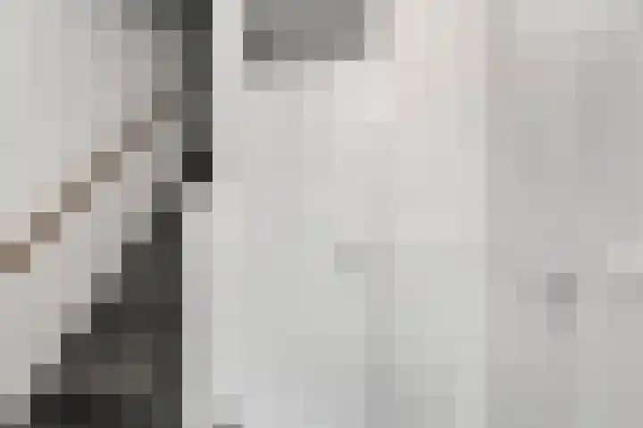 van Heutszlaan 114 1 Ede thumbnail 19